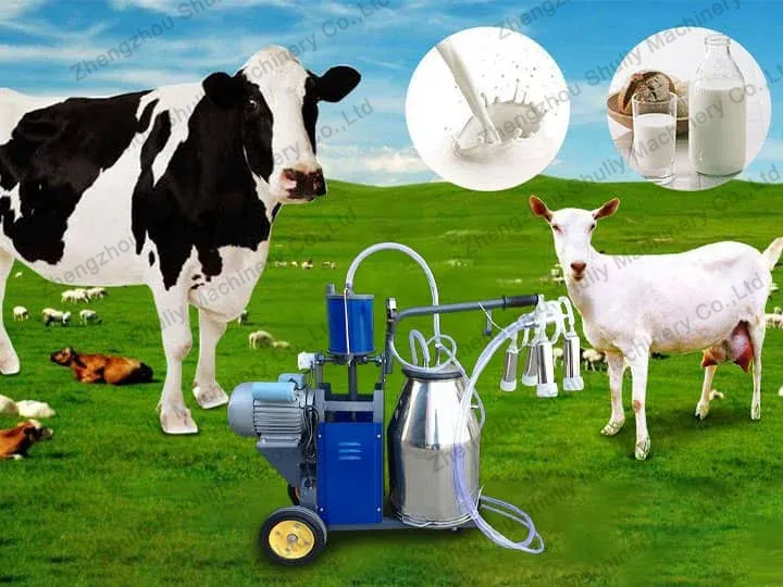 Is the goat milking machine worth it?